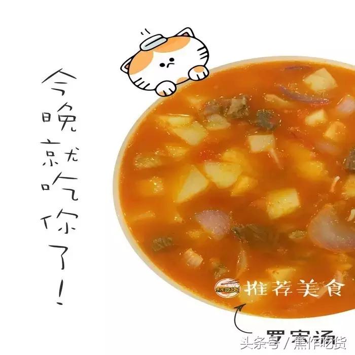 猫咖郑州焦作,焦作猫咖推荐