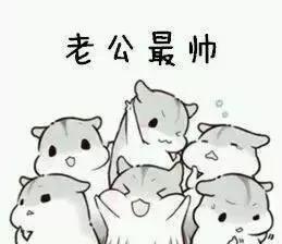 陈晓和袁姗姗云巅之上发布会,陈晓和袁姗姗云巅之上多少岁