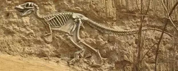 两富二代大量炸毁化石，开枪埋雷不惜破产，竟是为了*论发**文争名利