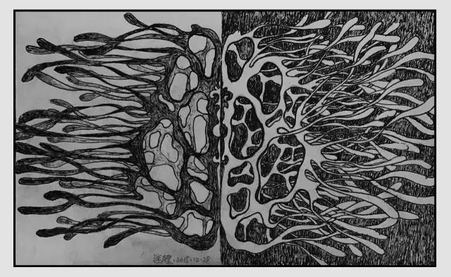 插画师迷狸:路过,停留