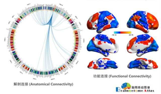 老年痴呆可以打麻将吗,玩麻将是不是可以防止老年痴呆