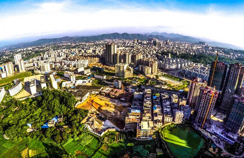 广西博白县桂圆柚之乡,广西博白桂圆2023批发价格