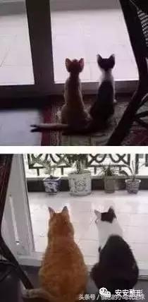 吸脂瘦身｜让你在夏天更美一点！