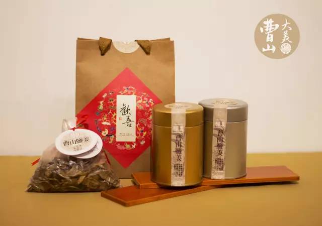 脑子进水了用什么方法能救活,脑子进水了吃什么药好