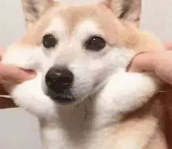 瘦脸针都拯救不了的大饼脸,瘦脸针不能一劳永逸吗