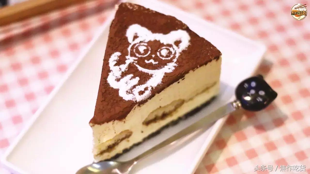 猫咖郑州焦作,焦作猫咖推荐