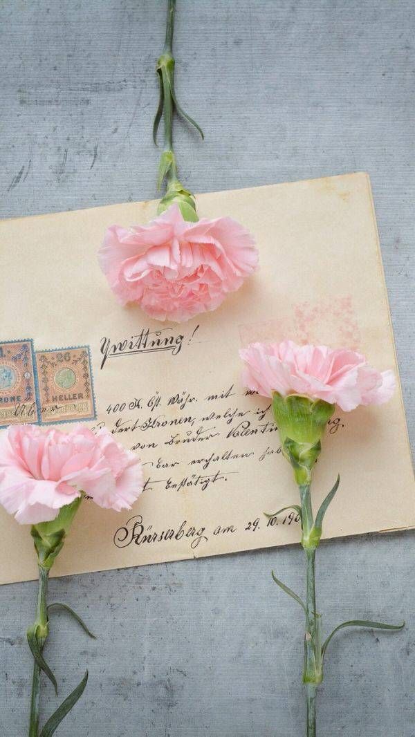 身后空无一人怎么敢轻易倒下,我的身后空无一人我怎敢倒下