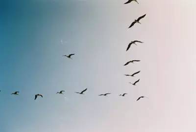 留学生吐槽回国视频,留学最真实的心声