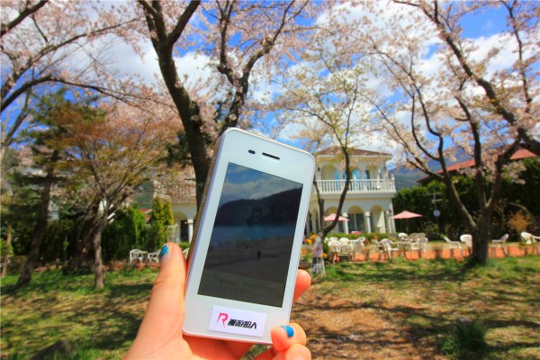 落英缤纷系列,落樱缤纷日本