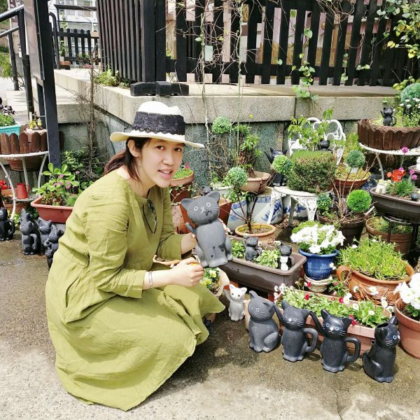 落英缤纷系列,落樱缤纷日本