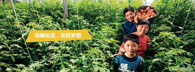 德国拜耳集团,德国拜耳药物