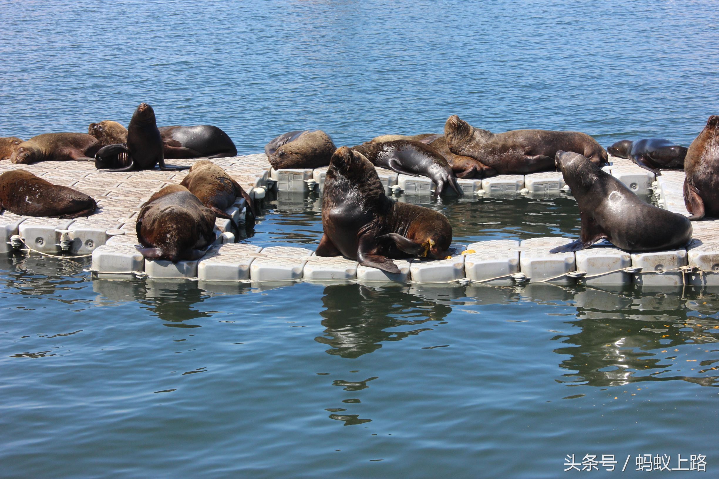 塔尔卡瓦诺智利军港图片,塔尔卡瓦诺城市