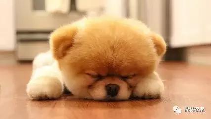 立夏真正的夏天来了准备好了吗,立夏炎热的夏季即将开始