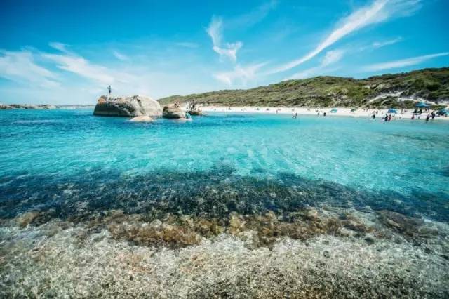 真正的野生三文鱼,我国野生三文鱼