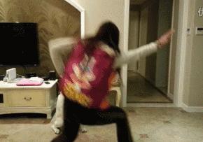 泰迪怎么会喜欢你,泰迪怎么让它信任你