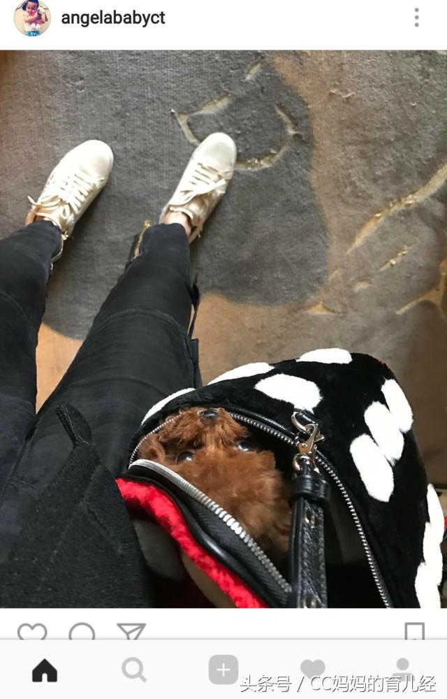 五一放假了带宝贝去旅游吧,明星五一带娃玩