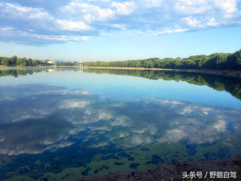 北京深秋露营野滩烧烤推荐,野鹅自驾