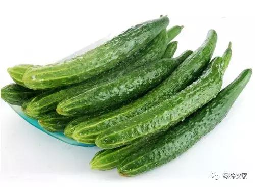 立夏真正的夏天来了准备好了吗,立夏炎热的夏季即将开始