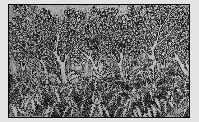 插画师迷狸:路过,停留