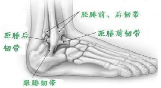 脚踝强化训练：16个动作深度强化脚踝增强稳定性，减少扭伤