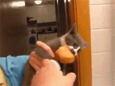 如果你的女朋友太漂亮怎么办,女朋友特别粘人晚上睡觉还要抱着