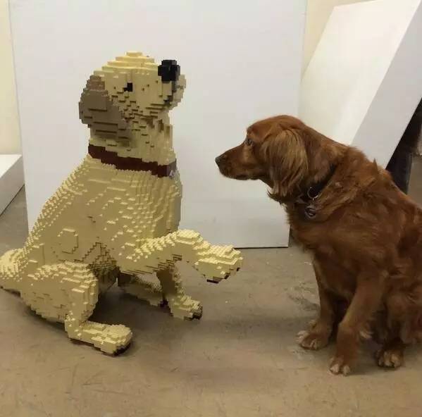 放弃百万年薪回国打拼4年狂赚20亿,放弃百万年薪三个月