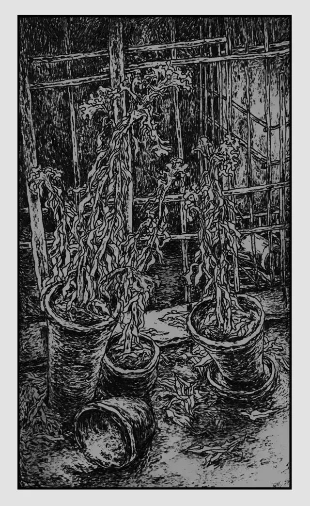 插画师迷狸:路过,停留