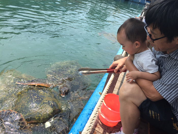 心向远方勇闯天涯,心向远方越野