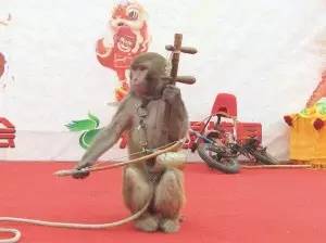 舞动南阳舞蹈完整版,舞动南阳原唱完整版