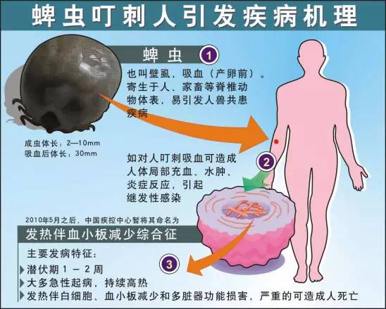 2岁男宝呕吐发烧,一周岁男孩呕吐发烧