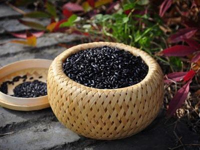 十大调理肾最好食谱,九种食物最养肾