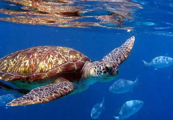 这一生一定要有的8个旅行体验,一生必须有的50个旅行体验