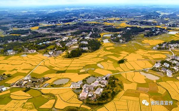 衡阳西渡镇地名由来,衡阳县以前八大乡镇是什么样子的