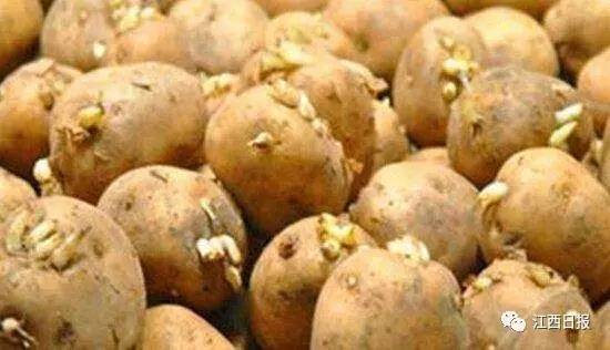 吃螃蟹小心食物中毒,吃螃蟹全身红肿