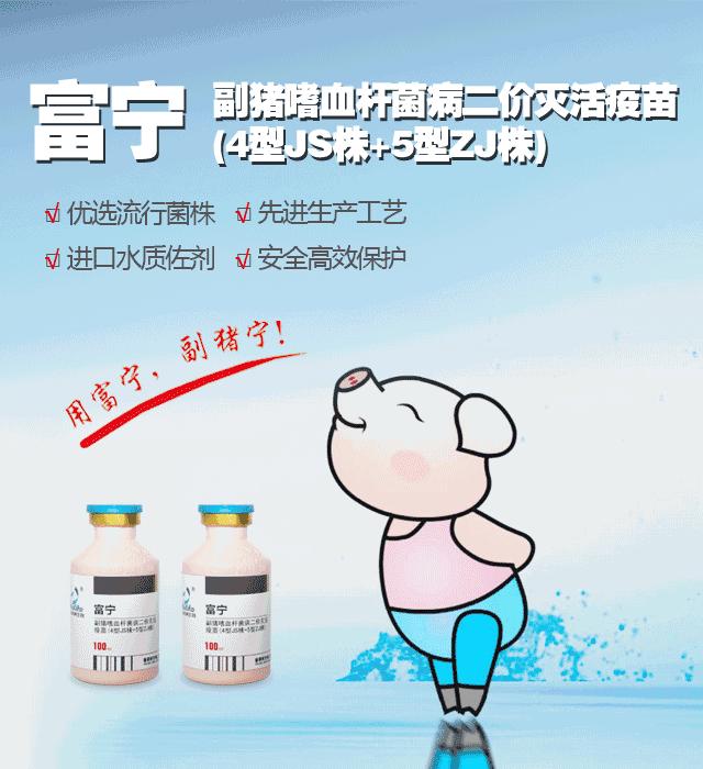 猪场粪污发酵系统,养猪场粪污发酵处理设备