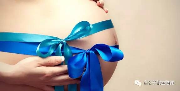 生孩子是怎么回事？反正不是好事，只有切身体验过才会懂！