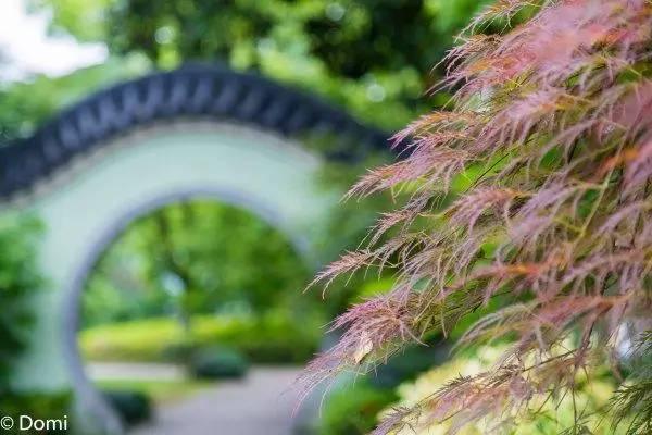 杭州g20峰会晚宴西子宾馆,g20峰会西子宾馆合影