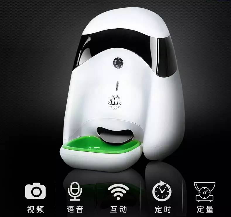 给狗喂饭要喂多少,给狗刷牙的知识