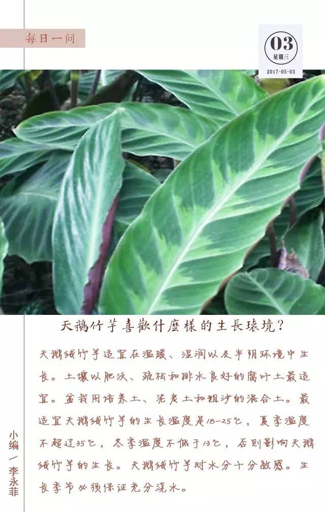 每日分享｜从古到今说来话，不过是情而已,5月3日）