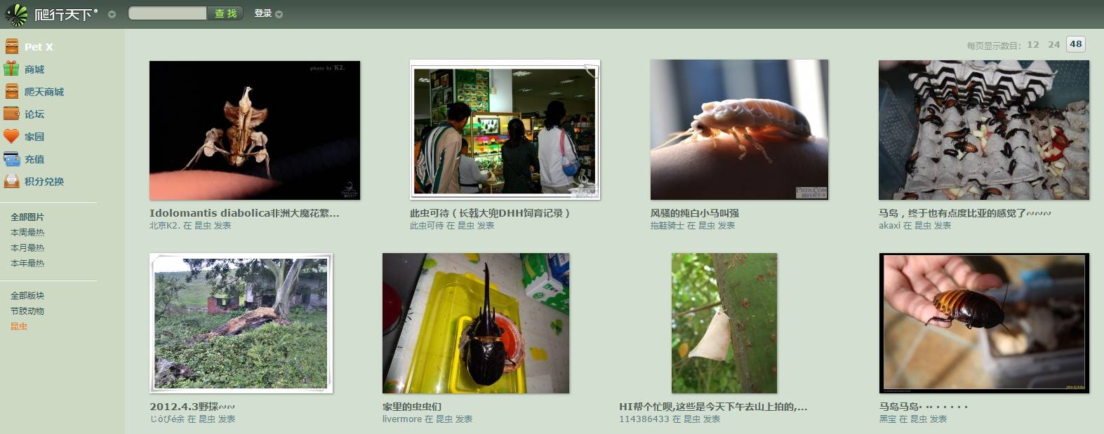 学习昆虫知识的网站,免费学习有趣的昆虫知识