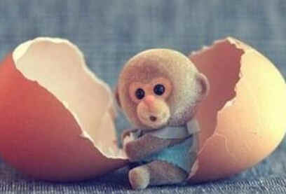 2016猴几点出生最好命男孩,2016几月猴宝宝命最好