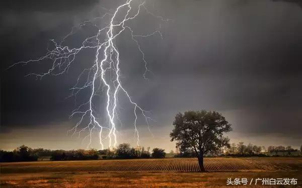 分享｜一个响雷莫惊慌，一起学习科学预防