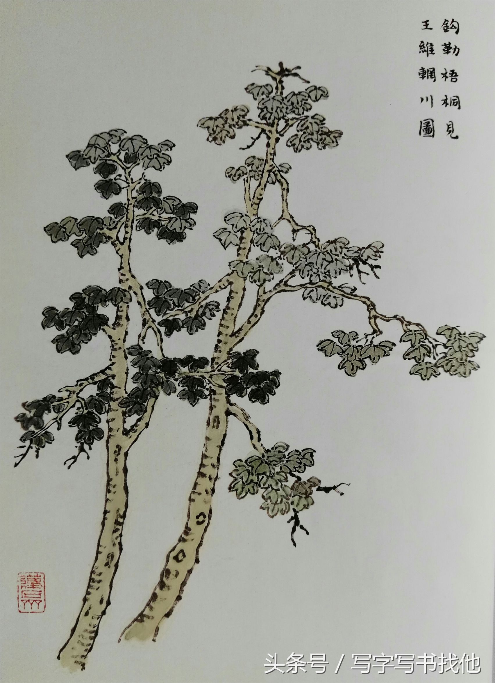 大写意花鸟画技法视频芭蕉,中国画大写意芭蕉叶画法