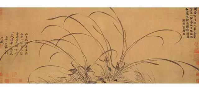 荐书|中国人对兰花情有独钟,没想到达尔文也一样