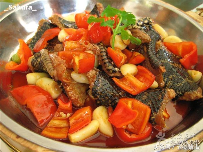 平头哥怕哪种蟒蛇的毒,可以杀掉平头哥的蟒蛇排名