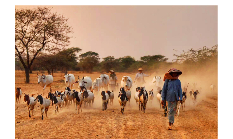 间隔年丨这六块腹肌的主人旅行了340天，还不想回家