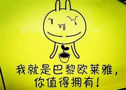 迪奥娇兰纪梵希,娇兰香奈儿迪奥纪梵希