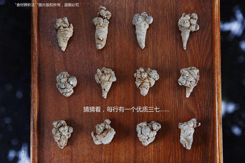 如何买真正的三七,买什么样的三七是真的