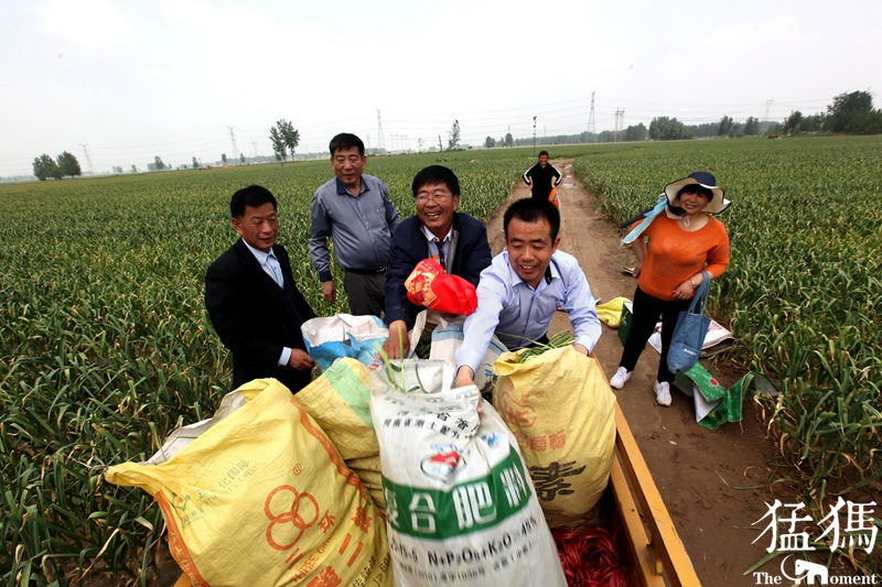 河南蒜农滞销紧急助农,大蒜20万吨订单