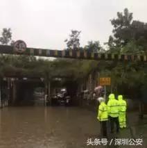 突降暴雨交警蜀黍都在忙些啥,天降暴雨交警视频